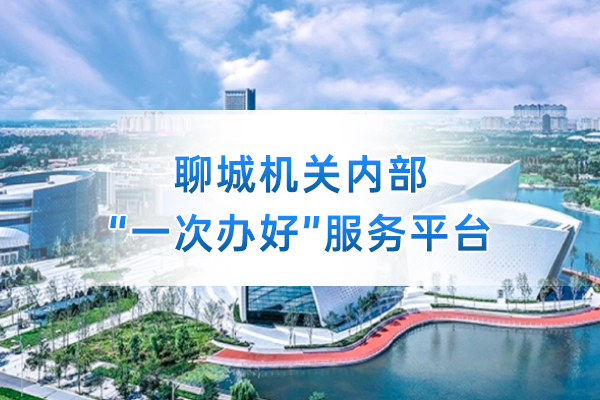 微宏AlphaFlow助力山东聊城数字机关建设